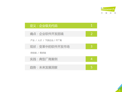 2021年中国企业级无代码白皮书 信息技术咨询服务的新篇章