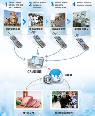 为何需要建设动物溯源信息化管理系统及信息技术咨询服务的价值