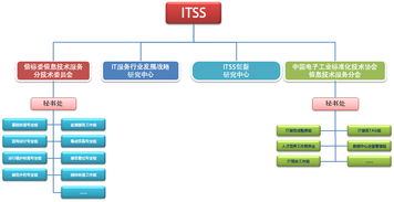 信息技术咨询服务 推动行业标准化与创新发展